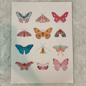 12 x 16 Butterfly Wall Poster Print